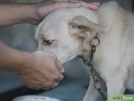 Ешьте то, что ненавидите. Шаг 17