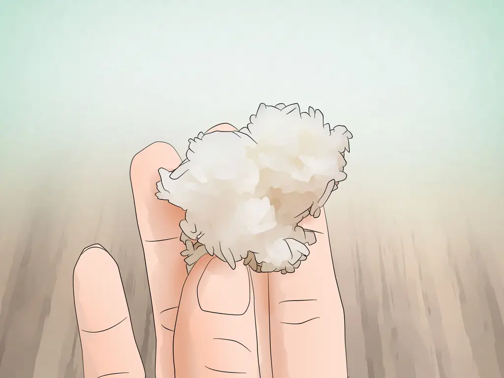 Как есть рис: 13 шагов (с иллюстрациями)