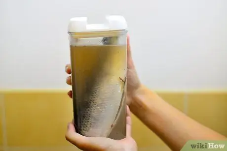 Сделайте Surstromming Шаг 7