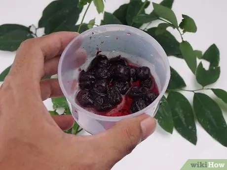 Приготовьте пакеты для выжимания еды для малышей, шаг 2