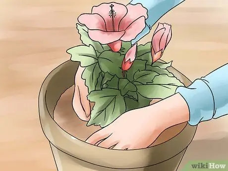 Сделай сюрприз маме Шаг 13