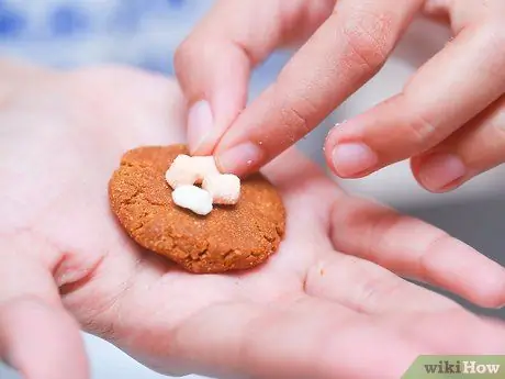 Сделайте шары Грэма, шаг 5