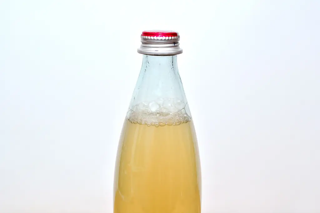 Как сбраживать яблочный сок: 11 шагов (с иллюстрациями)