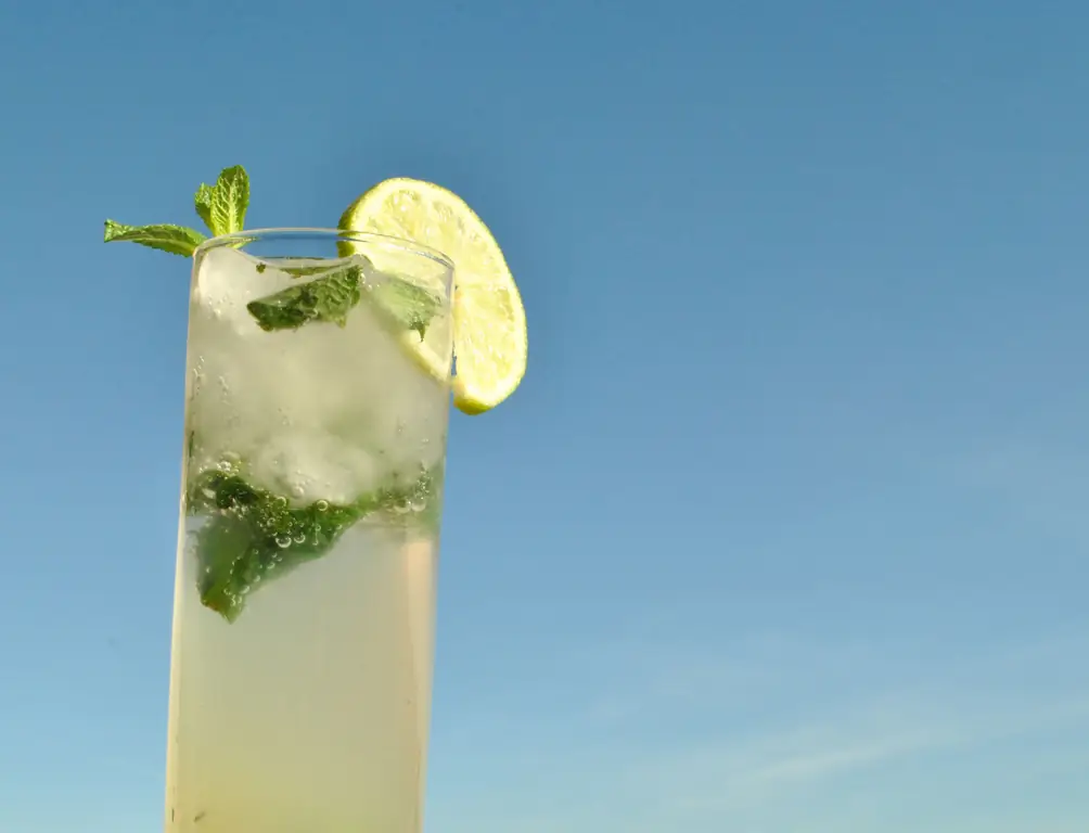 Как приготовить девственный мохито: 10 шагов (с иллюстрациями)