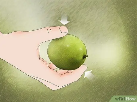 Как узнать, созрела ли маракуйя Шаг 6