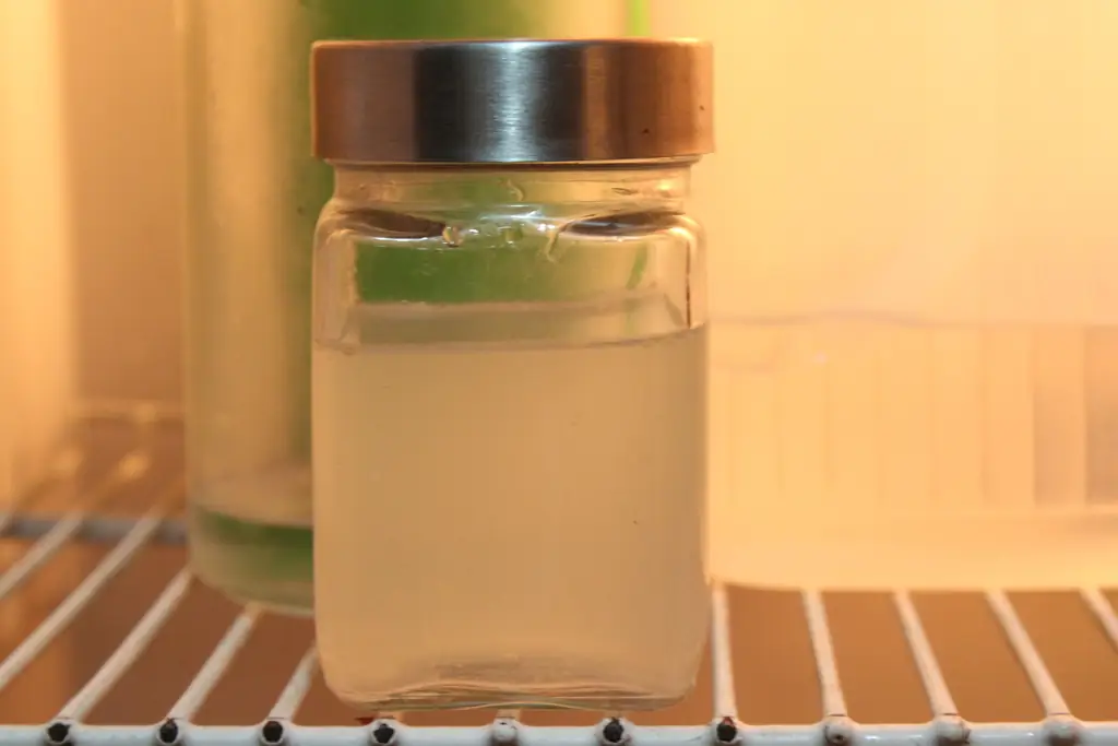 Как приготовить оливковый сок: 15 шагов (с иллюстрациями)