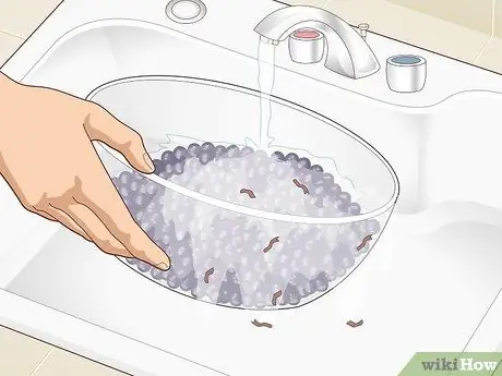 Экстракт сока бузины Шаг 1