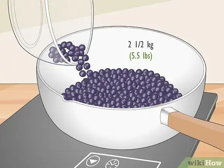 Экстракт сока бузины, шаг 2