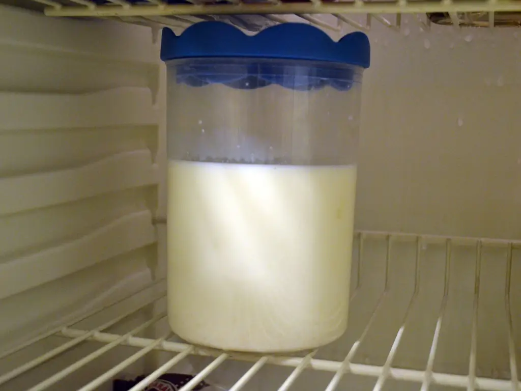 Как сохранить кефирные зерна: 6 шагов (с иллюстрациями)