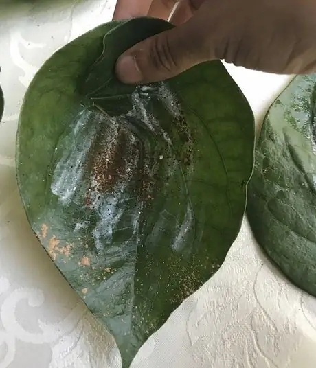 Чашка из листьев бетеля