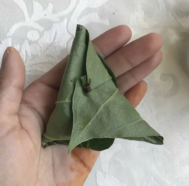 Как сделать южноазиатский паан (с иллюстрациями)