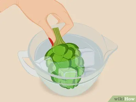 Выбор и хранение артишоков Шаг 7