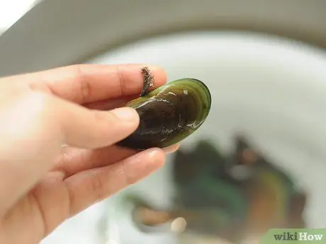 Купите и очистите мидии Шаг 3