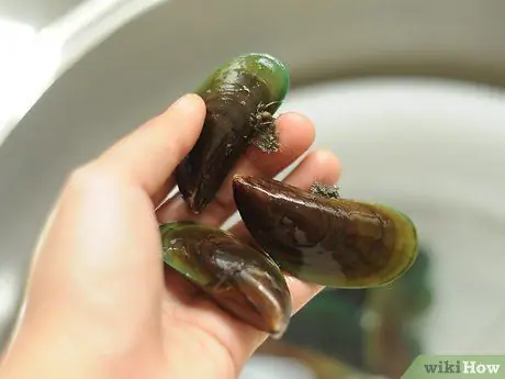 Купите и очистите мидии Шаг 4