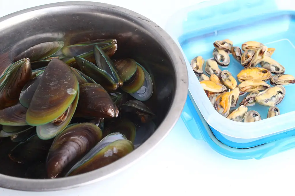 4 способа хранения мидий