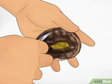 Очистить морское ушко, шаг 1