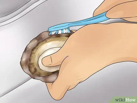 Очистить морское ушко, шаг 3