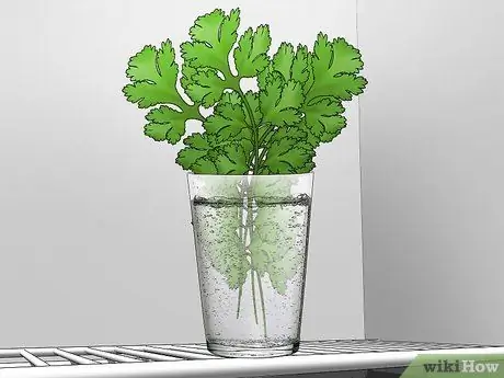 Используйте кинзу, шаг 4