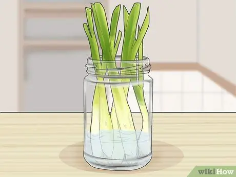 Хранить зеленый лук Шаг 2