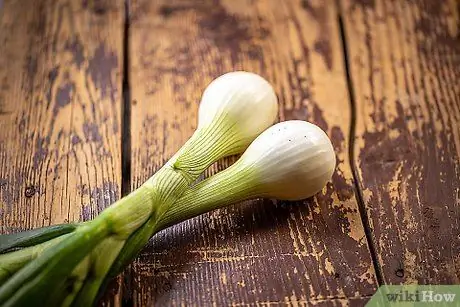 Определите разницу между зеленым луком, шалотом и зеленым луком Шаг 1