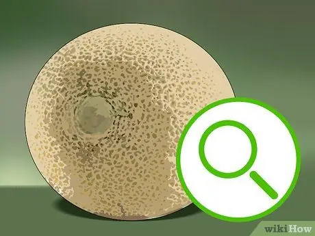 Выберите дыню Шаг 1