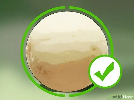 Выберите дыню Шаг 11