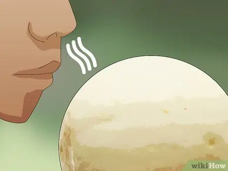 Выберите дыню Шаг 13