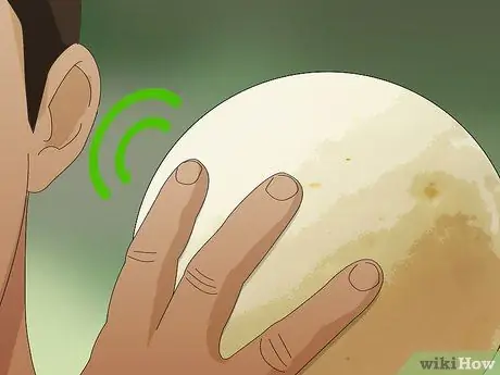 Выберите дыню Шаг 14