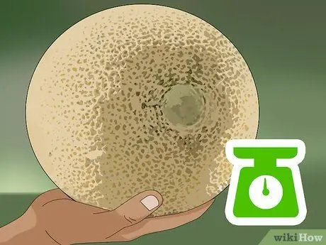 Выберите дыню Шаг 2