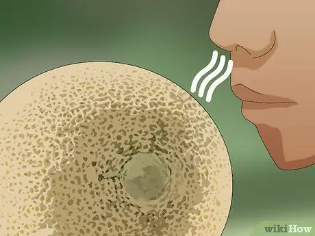 Выберите дыню Шаг 3