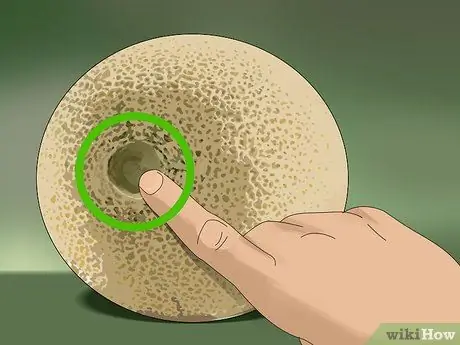 Выберите дыню Шаг 4