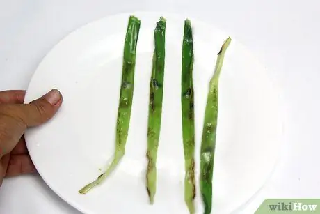 Выбор и использование лука-порея Шаг 11