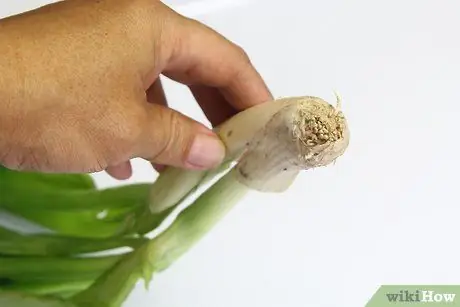 Выбор и использование лука-порея Шаг 4