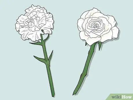 Изменение цвета стебля сельдерея Шаг 13