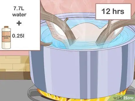 Очистить череп оленя Шаг 14