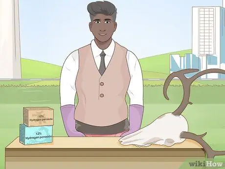 Очистить череп оленя Шаг 8