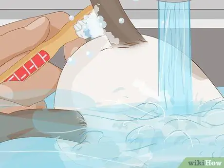 Очистить череп оленя Шаг 9