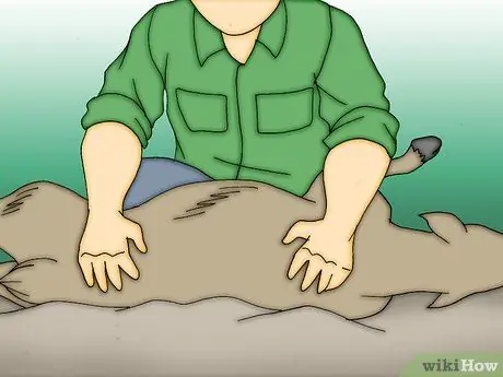 Снимите шкуру с мертвого животного Шаг 13