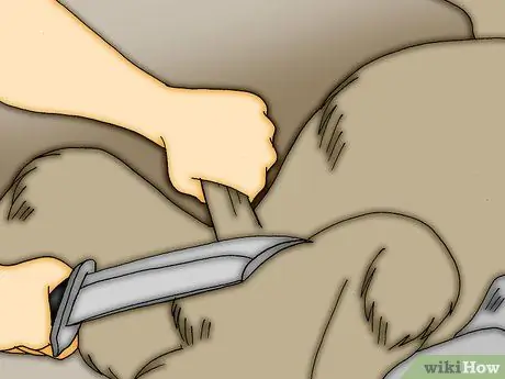 Снимите шкуру с мертвого животного, шаг 2