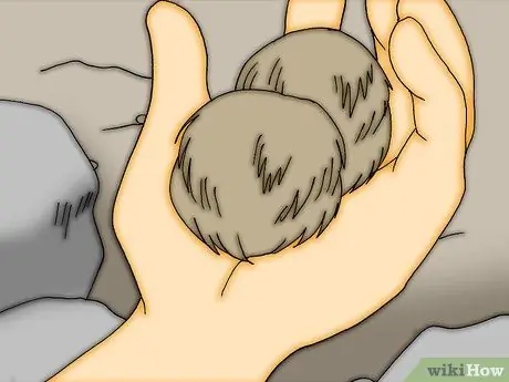 Снимите шкуру с мертвого животного, шаг 3