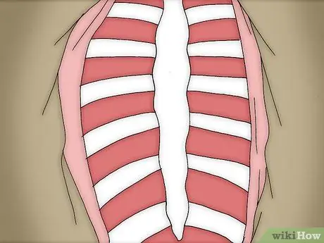 Снимите шкуру с мертвого животного Шаг 6