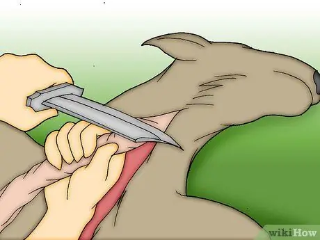 Снимите шкуру с мертвого животного Шаг 7