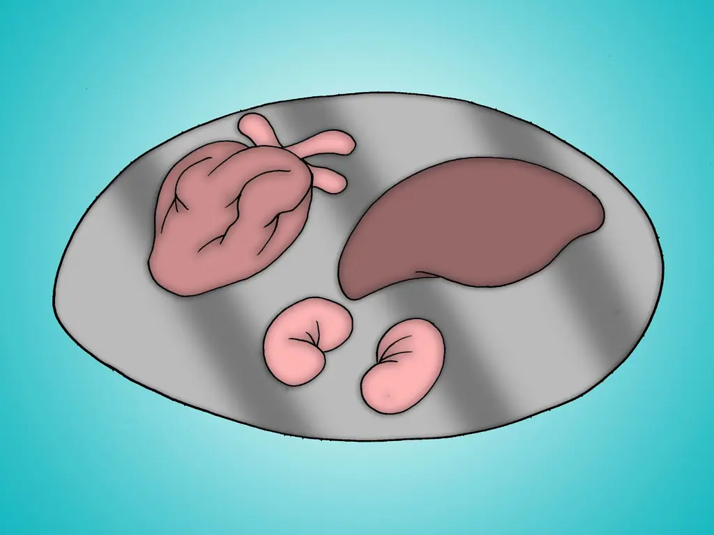 Как снять шкуру с мертвого животного: 15 шагов (с иллюстрациями)