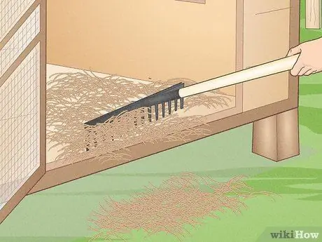 Профилактика заболеваний у кур Шаг 1