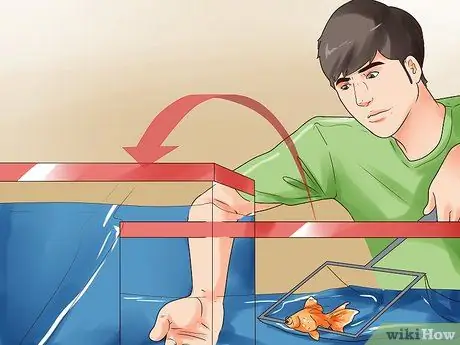 Гуманно убить рыбу Шаг 10