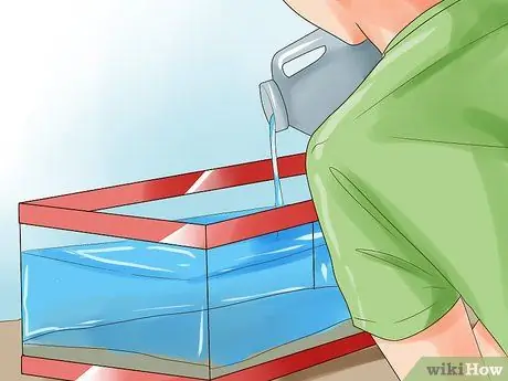 Гуманно убить рыбу Шаг 6