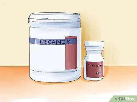 Гуманно убить рыбу Шаг 7