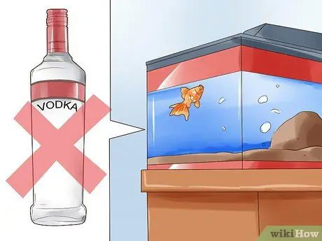 Гуманно убить рыбу Шаг 8