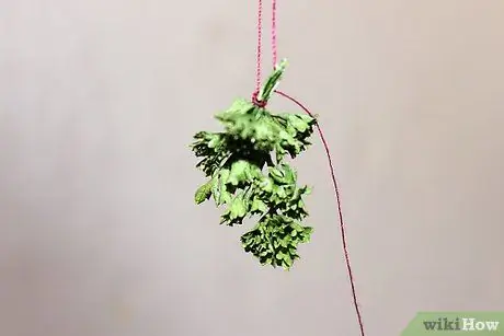 Сушить петрушку на воздухе Шаг 6