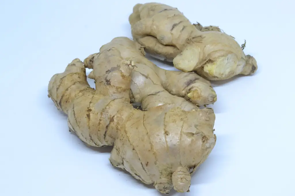 4 способа сохранить имбирь свежим
